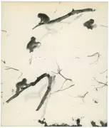 Yamamoto Masao : les chouettes fantaisistes du photographe japonais