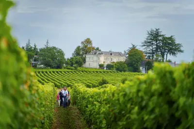 11 escapades dans les vignobles de Loire à ne pas manquer