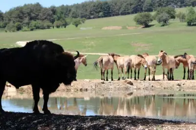 6 fermes pédagogiques à visiter en famille dans les Alpes-Maritimes et le Var