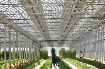 Agrivoltaïsme : de la méfiance à un cadre strict et rassurant