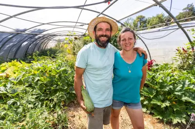 Agroforesterie : du Var aux rosiers Meilland, des initiatives qui s'enracinent