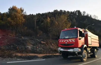 Algérie : 12 morts dans des incendies de forêts dans le nord-est