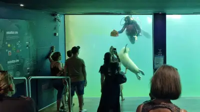 Au Seaquarium du Grau-du-Roi, soigneurs et aquariologistes au chevet des animaux