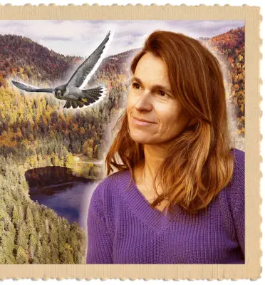 Aurélie Filippetti célèbre les brimbelles vosgiennes