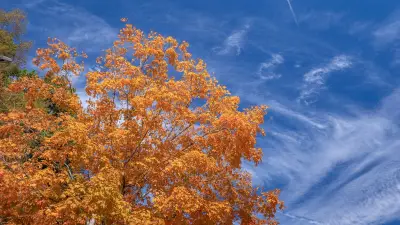 Automne 2026 : chaleur et pluies, les tendances de La Chaîne Météo
