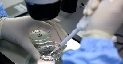 Aux États-Unis, des start-ups vendent des tests de QI sur embryons
