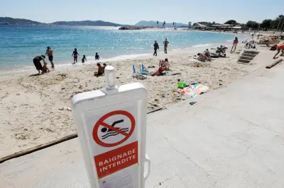 Baignade interdite à Toulon : amende et risques sanitaires expliqués