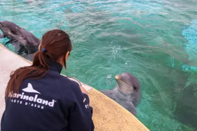 Beauval pose un ultimatum à l'État pour l'accueil des dauphins