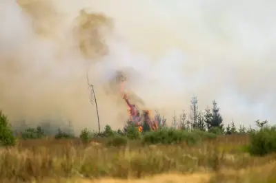 Belgique : près de 3 000 hectares brûlés dans les Fagnes