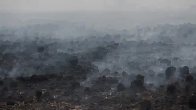 Belgique : près de 3 000 hectares ravagés par un incendie inédit depuis 1911