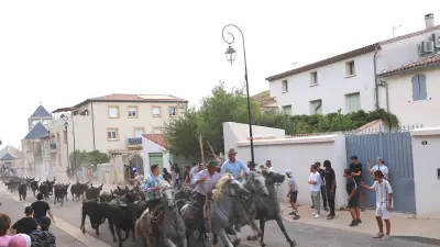 Bouillargues : la fête votive se clôt en beauté