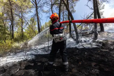 Brignoles : une voiture prend feu sur la RD 79, 28 pompiers mobilisés