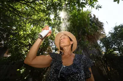 Canicule : 78 départements en vigilance orange, Var et Alpes-Maritimes à 36°C