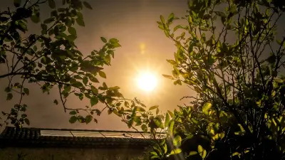 Canicule : 80 départements en vigilance orange jeudi