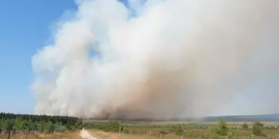 Canicule et incendies : 2 700 hectares brûlés en Belgique, le feu des Landes fixé