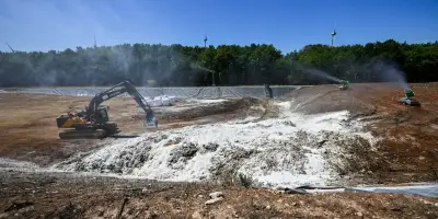 Canicule : les équarrisseurs débordés par les cadavres de volailles