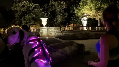 Canicule à Nîmes : la vie nocturne, nouvelle stratégie des habitants