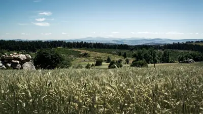 Canicule : pourquoi le centre de la France surchauffe plus que l'Occitanie