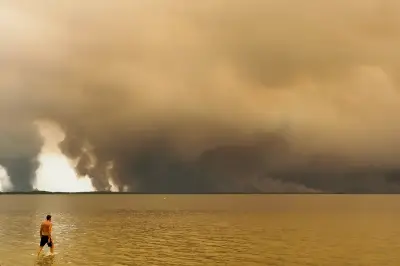 Canicules et incendies : et si la nature n'était pas si inerte ?