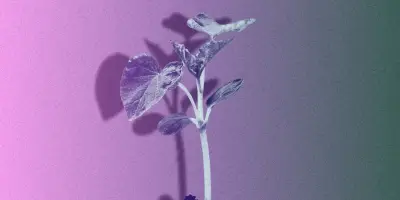 Canicules : la France reste impatiente face aux risques climatiques