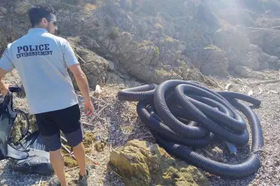 Cap Taillat : nettoyage du littoral après les tempêtes