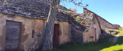 Caves semi-troglodytes d'Entre-deux-Monts : l'héritage viticole du Tarn