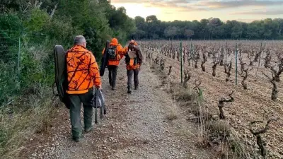Chasse dans l'Hérault : Max Alliès appelle au calme après les propos de Sandrine Rousseau