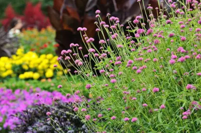 Check-list extérieur : préparer son jardin pour la belle saison
