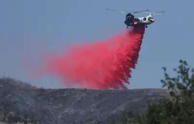 Chinook australien en renfort dans les Landes