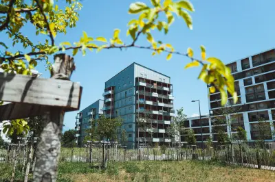 Climat : les maires de Grenoble, Lyon et Tours appellent à une responsabilité radicale