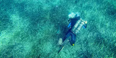 Climat : les mers européennes surchauffent