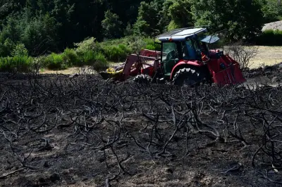Éco-anxiété des agriculteurs : un mal qui se répand
