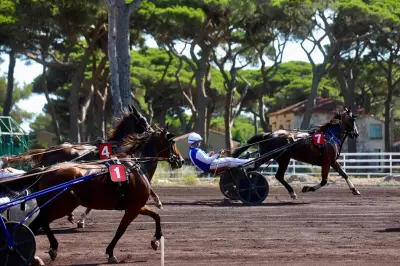 Coulisses de l'hippodrome d'Hyères : plongée dans l'univers des courses