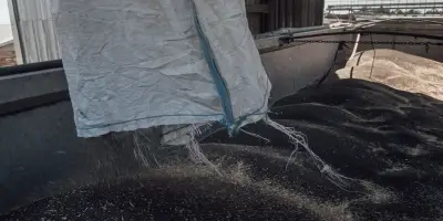 Céréales bloquées et fermes bombardées : le calvaire des agriculteurs ukrainiens