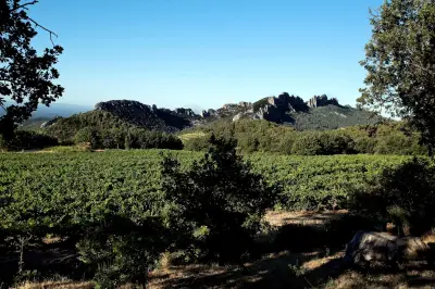 Côtes-du-Rhône Villages 2026 : nos 5 coups de cœur de l'été