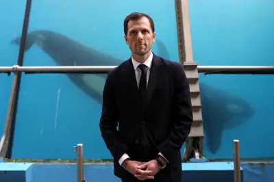 Dauphins de Marineland : Beauval renonce, le ministère espère une solution