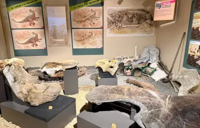 Dinosaures d'Angeac : un futur musée à l'horizon 2030