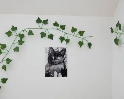 Disparitions de chats à Taule : une enquête ouverte