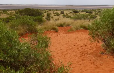 Disparue en randonnée : le corps de Lily Hooper retrouvé en Australie