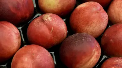 Distribution gratuite de fruits et légumes au Mas de Mingue à Nîmes