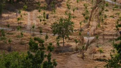 El Niño : l'épisode le plus intense depuis plus d'un siècle attendu