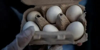 Entente sur les prix : des producteurs d'œufs condamnés à 3,3 M$