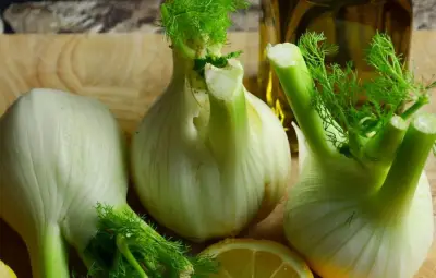 Fenouil : un légume léger, riche en nutriments et allié de la digestion