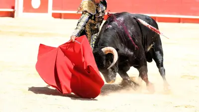 Feria de Béziers : Clovis en novillada piquée avec Victor et Olga Casado