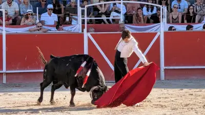 Feria des vendanges de Boujan : 2 000 spectateurs et 10 oreilles coupées