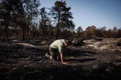 Feu de Fontainebleau : les flammes sont officiellement éteintes