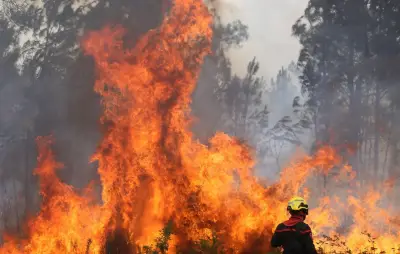Feu des Landes : reprises à Garein, 1.580 hectares brûlés