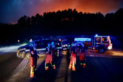 Feu du Gros Bessillon : l'incendie le plus long de l'histoire du Var