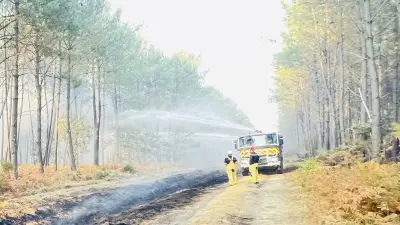 Feux en Gironde et Landes : des pompiers du Gard témoignent