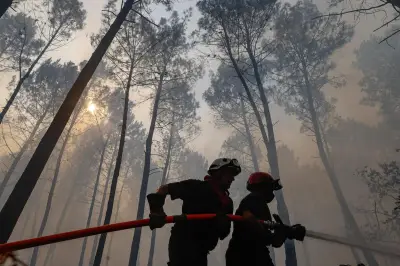 FireWatch : la plateforme de détection des feux de forêt par IA opérationnelle